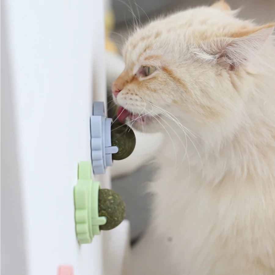 Wall-Mounted Catnip Ball