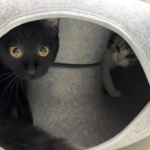Cat Donut Tunnel Bed